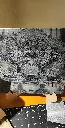 6aca2651-0b4e-46cc-b2ad-8d461b477c3b.webp
